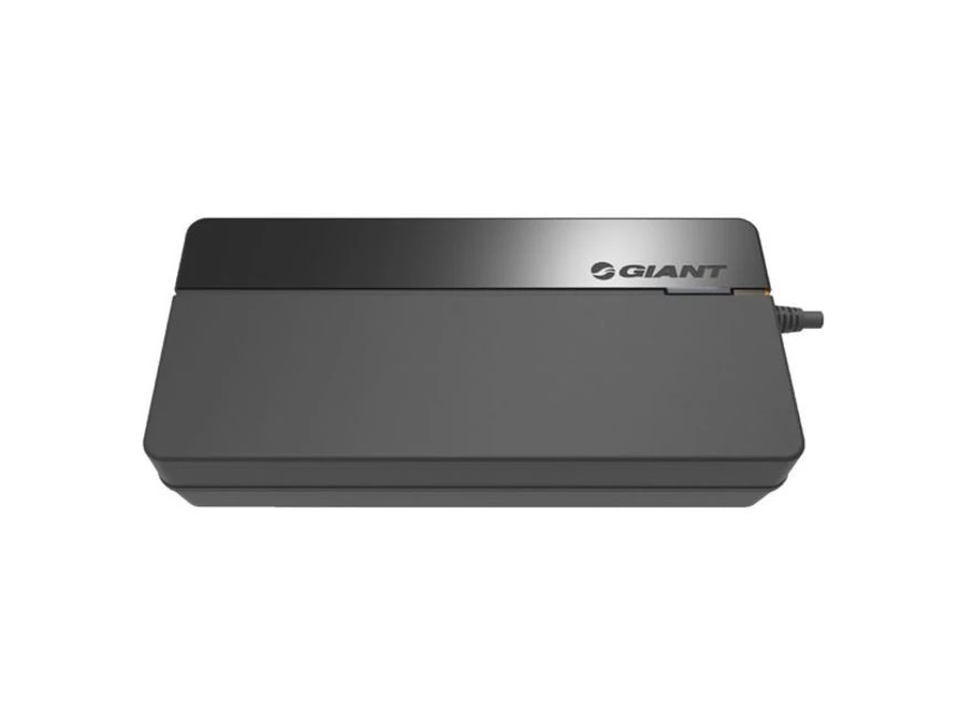 Giant Ladegerät Smart Charger (vollintegrierte Akkus) 6A